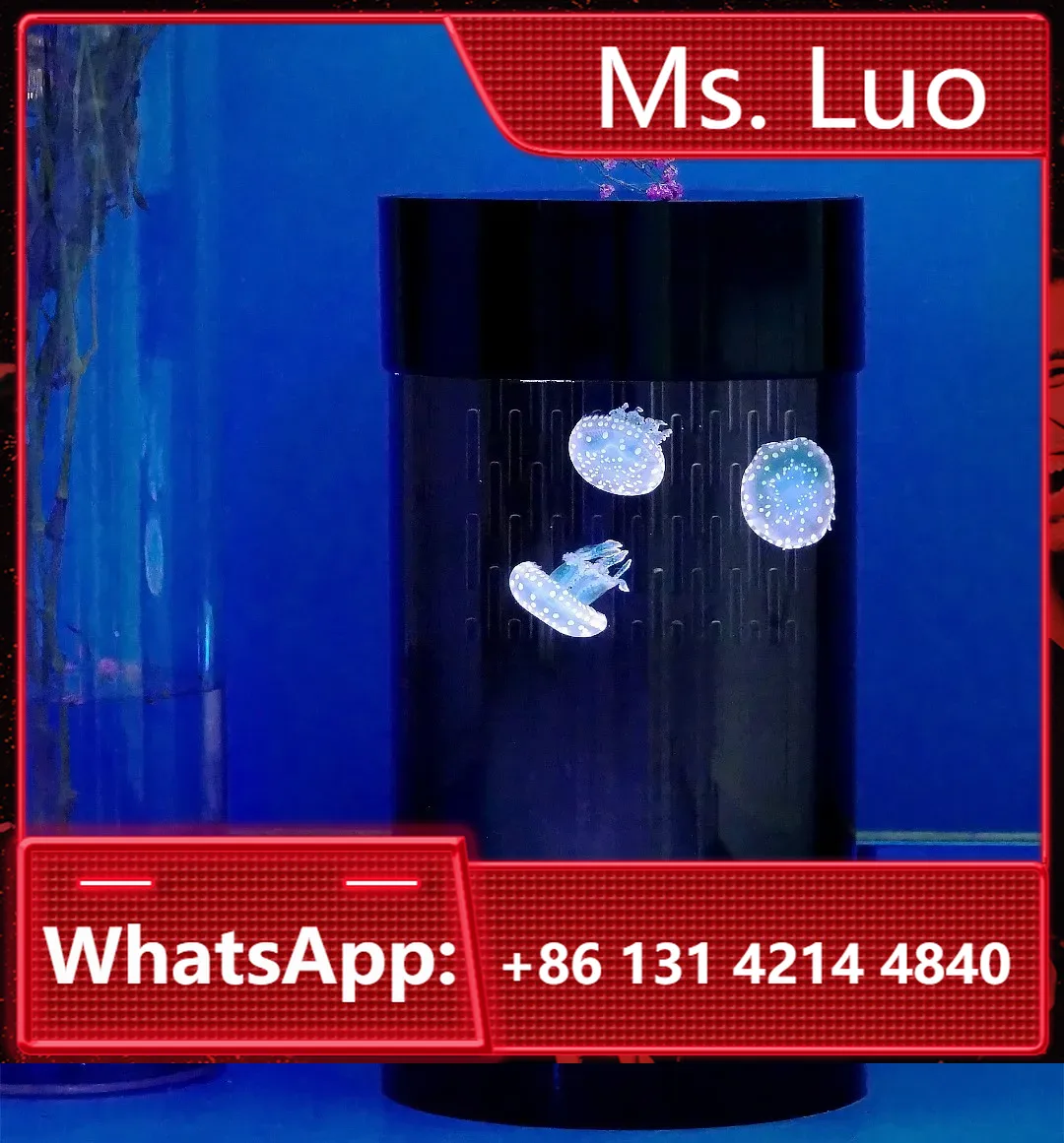 Aquarium Fish Amazon - En Çok Satan Amazon Ürünleri Denizanası