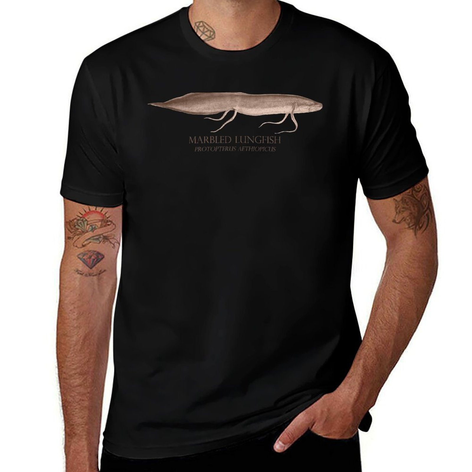 Aquarium Fish Monster - Lungfish Protopterus Akvaryum Canavar Balıkçı Retro