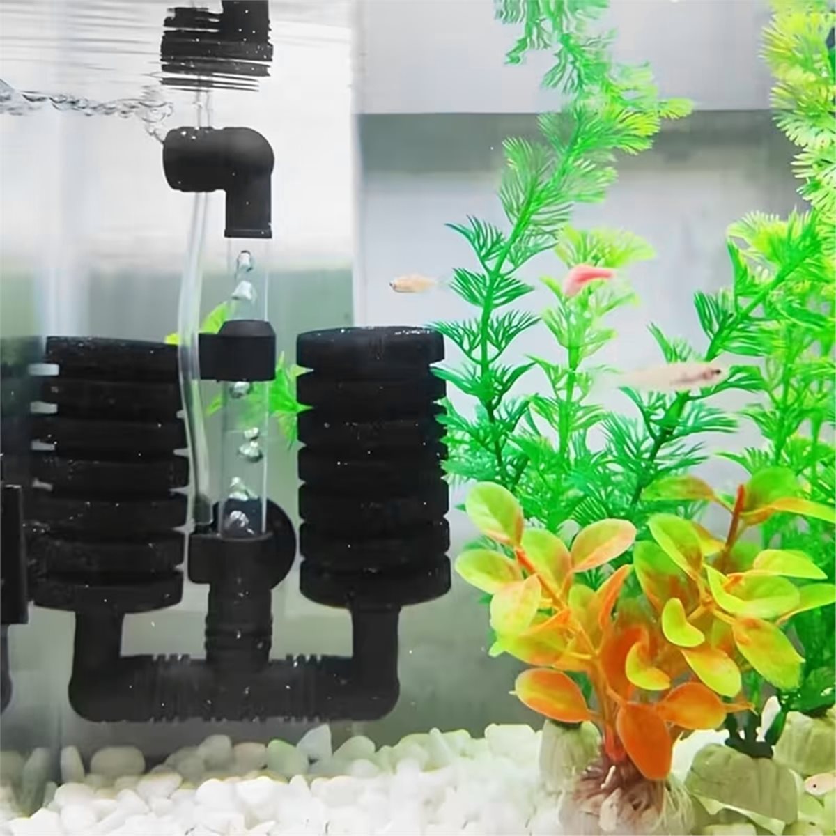 Aquarium Fish List - 【OLMAZ GELMEZ MIŞARIMDAN GELMEZ MİSİYER OLMASI