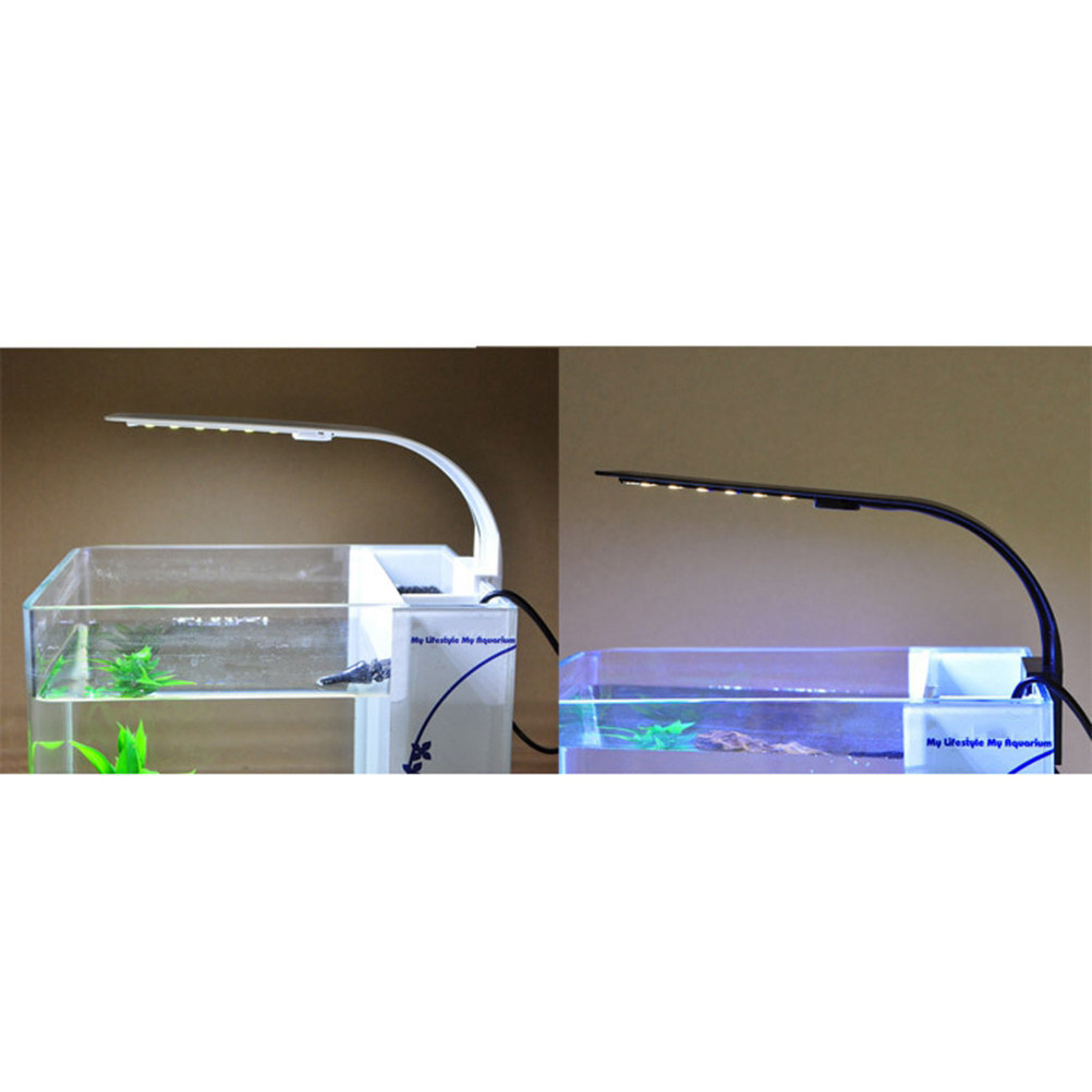 Aquarium Fish With Long Lifespan - Balık Tankı Bitkileri İçin LED Akvaryum