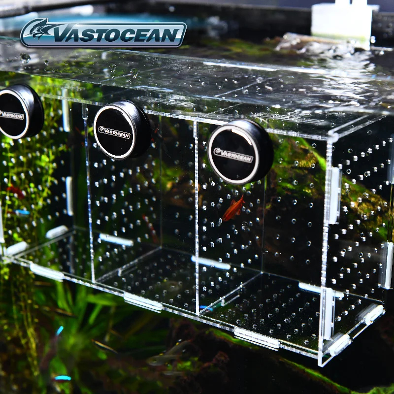 VASTOCEAN balık tankı manyetik - Aquarium Fish And Supplies incelemesi ve fiyatı