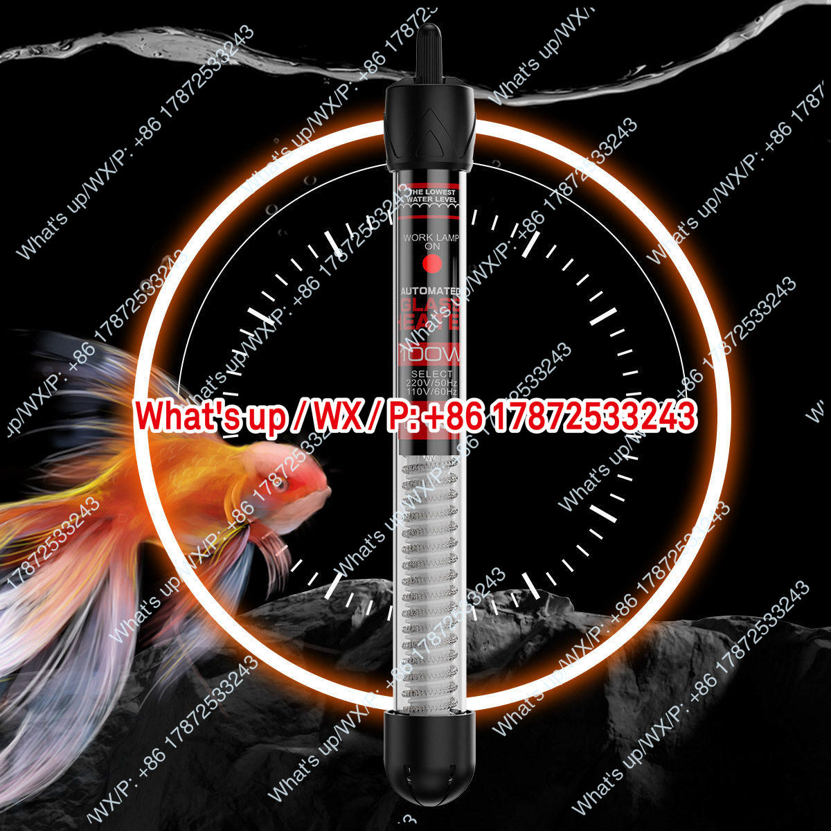 Dış ticaret ihracatı 110V ABD  - Aquarium Fish Exporter incelemesi ve fiyatı