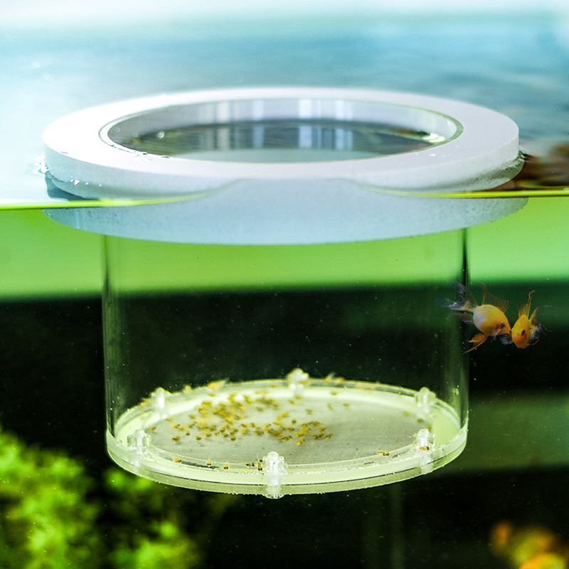Asma Balık Tankı Yetiştiricili - Aquarium Fish And Supplies incelemesi ve fiyatı