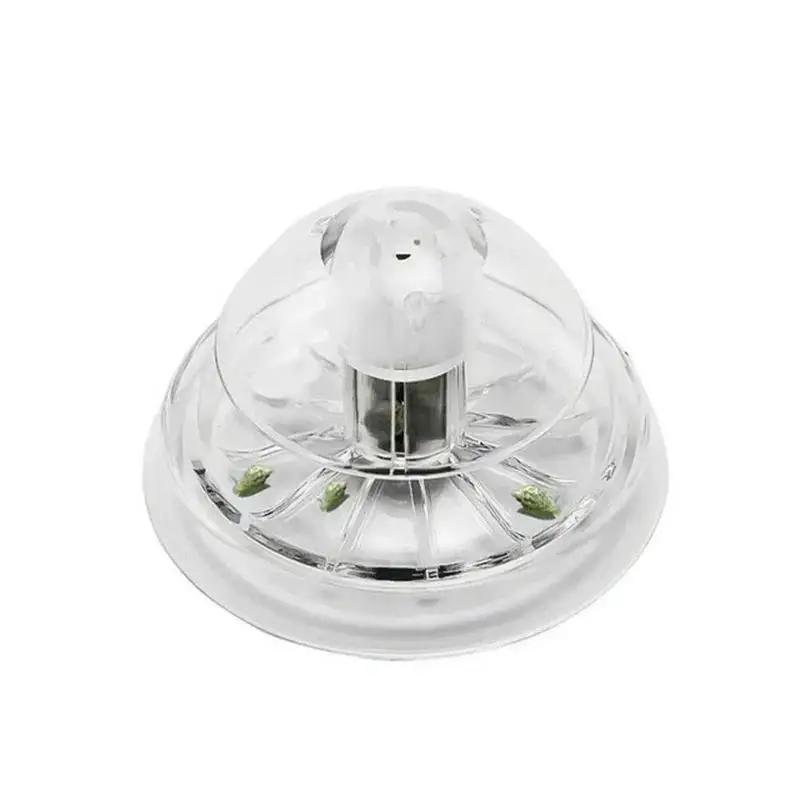 2026 Yeni 6/8CM Şeffaf Plastik - Aquarium Fish And Supplies incelemesi ve fiyatı