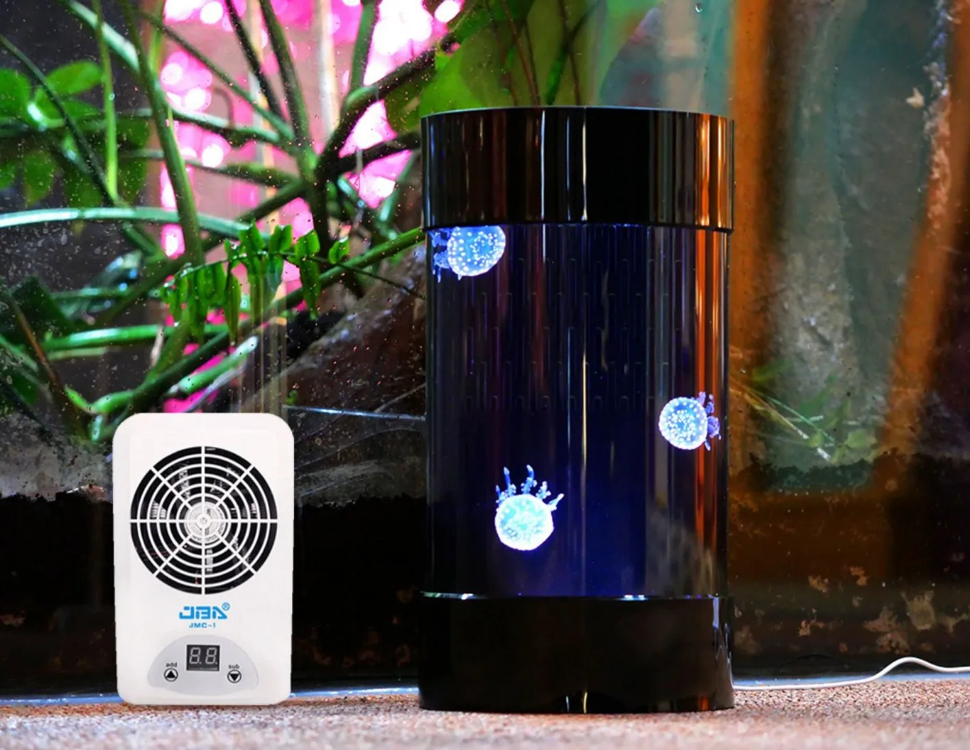 En Çok Satan Amazon Ürünleri D - Aquarium Fish Amazon incelemesi ve fiyatı