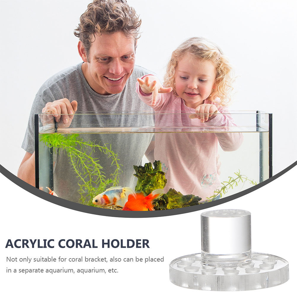 10 adet Akrilik Mercan Frag Ra - Aquarium Fish And Supplies incelemesi ve fiyatı