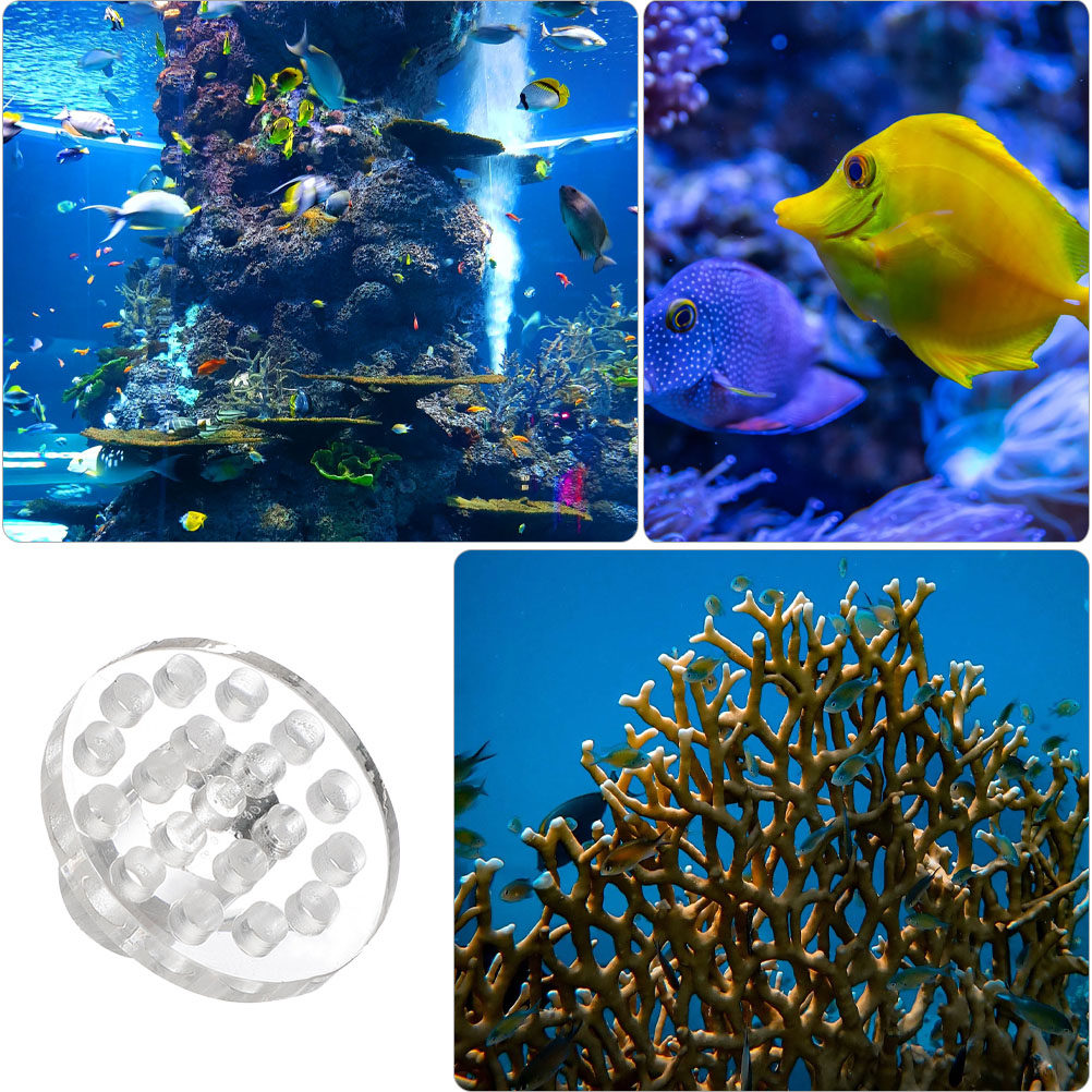 10 adet Akrilik Mercan Frag Ra - Aquarium Fish And Supplies incelemesi ve fiyatı
