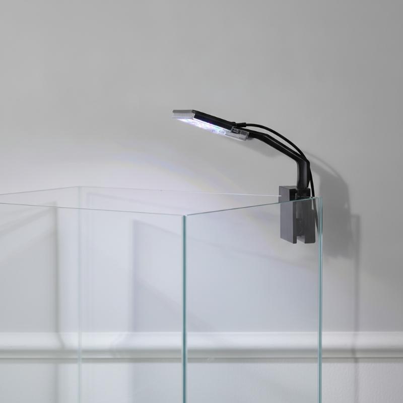 Akvaryum LED Aydınlatma Ultra  - Aquarium Fish With Long Lifespan incelemesi ve fiyatı