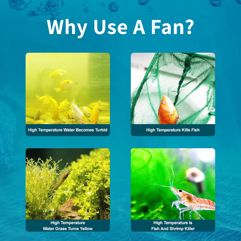 Jebao Jecod ACF Serisi Akvaryu - Fish Co Aquarium incelemesi ve fiyatı