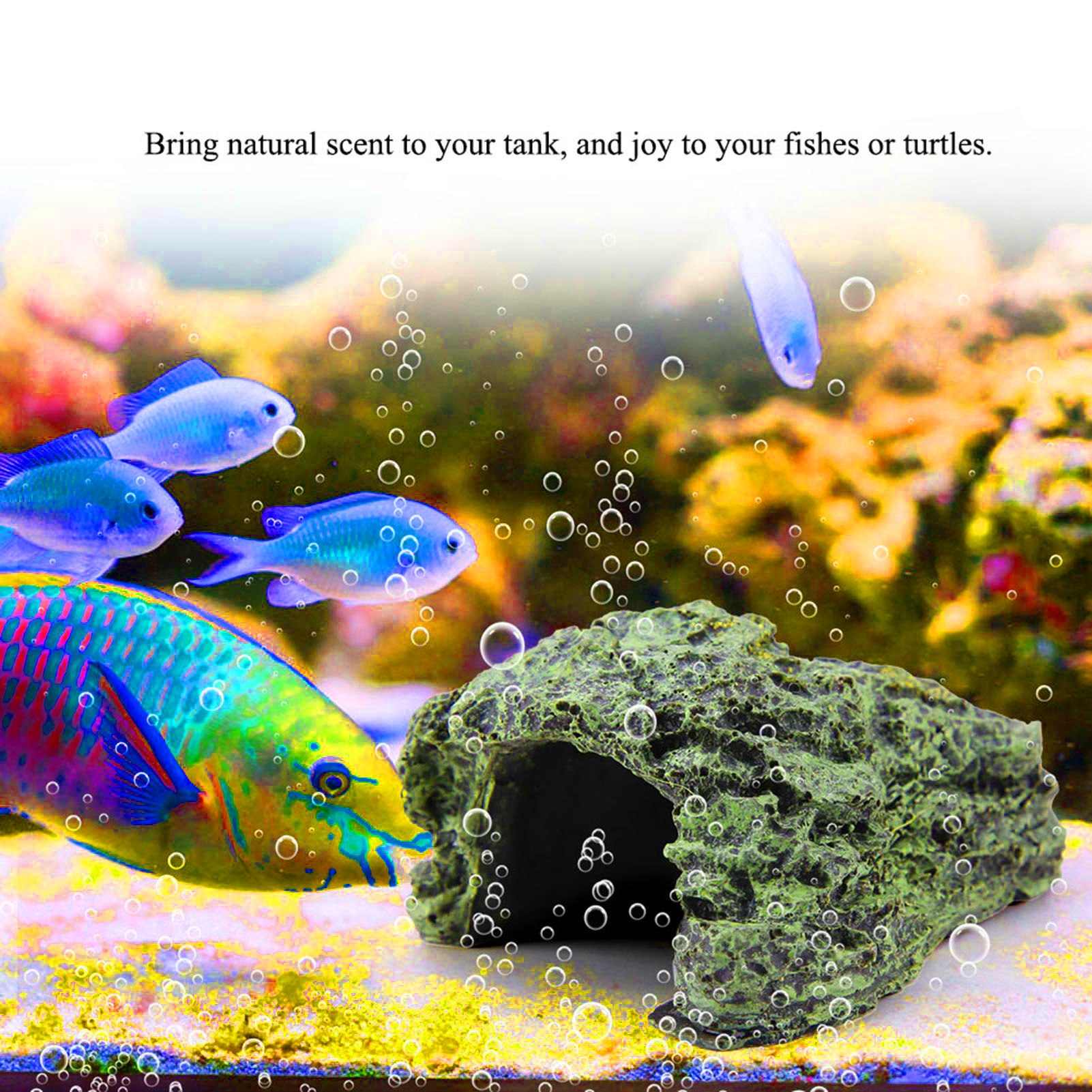 Sürüngen Saklanma Mağarası Kap - Aquarium Fish Hide incelemesi ve fiyatı