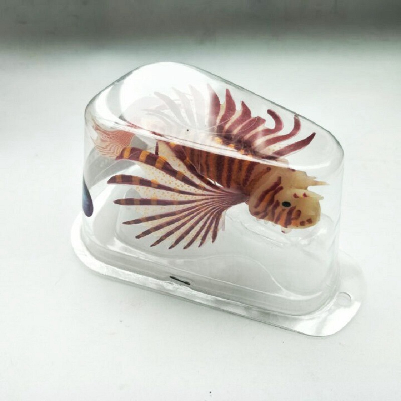 Novel and Funny Toy Fish Tank  - Aquarium Fish Exporter incelemesi ve fiyatı