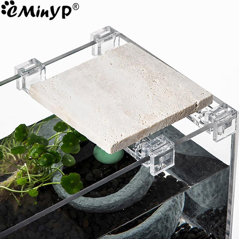 4 adet Balık Tankı Akrilik Kli - Aquarium Fish And Supplies incelemesi ve fiyatı