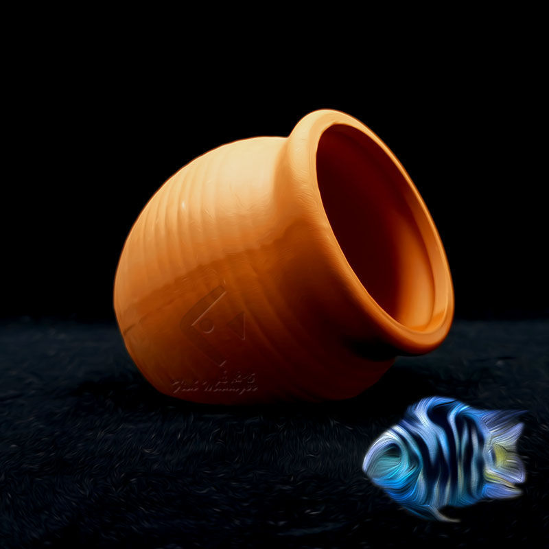 Akvaryum Mini seramik tankı ba - Aquarium Fish Hide incelemesi ve fiyatı