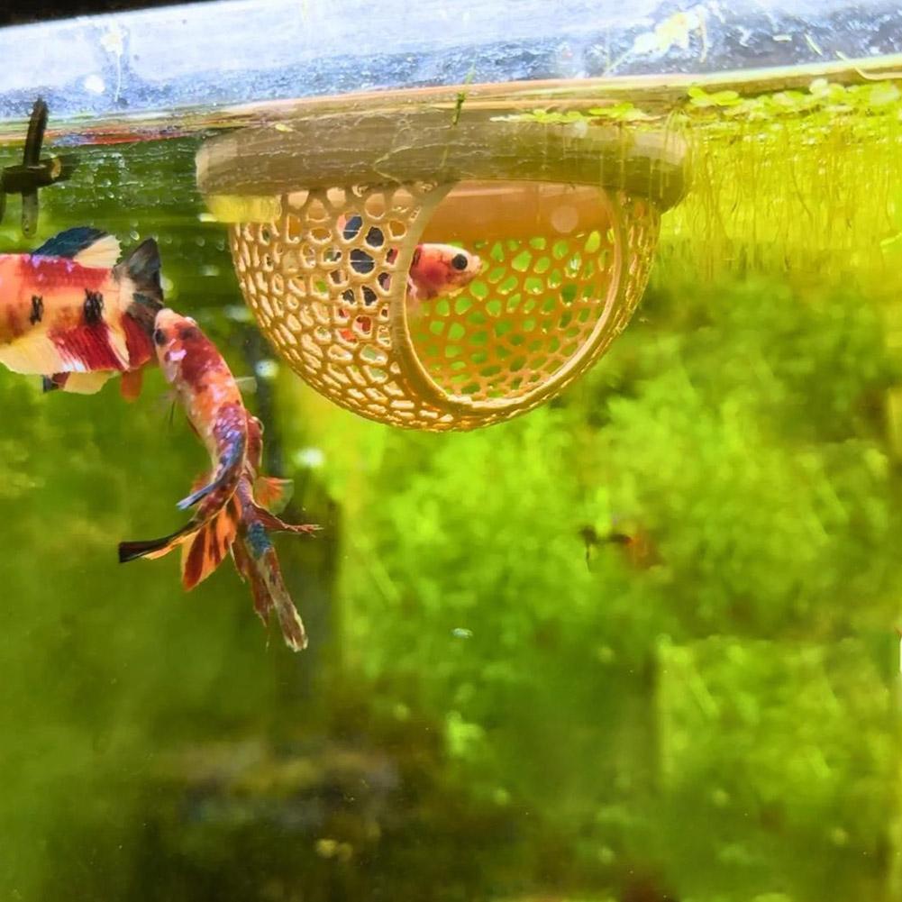 Akvaryum Yüzen Mağara Balık Ka - Aquarium Fish Hide incelemesi ve fiyatı