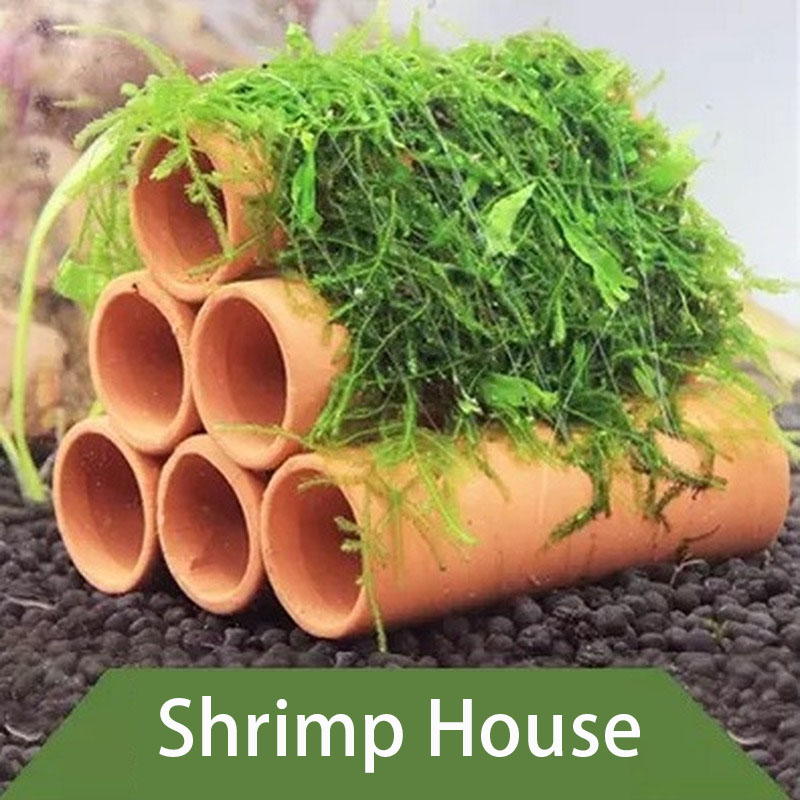 Kil Akvaryum Dekorasyon Balık  - Aquarium Fish Hide incelemesi ve fiyatı