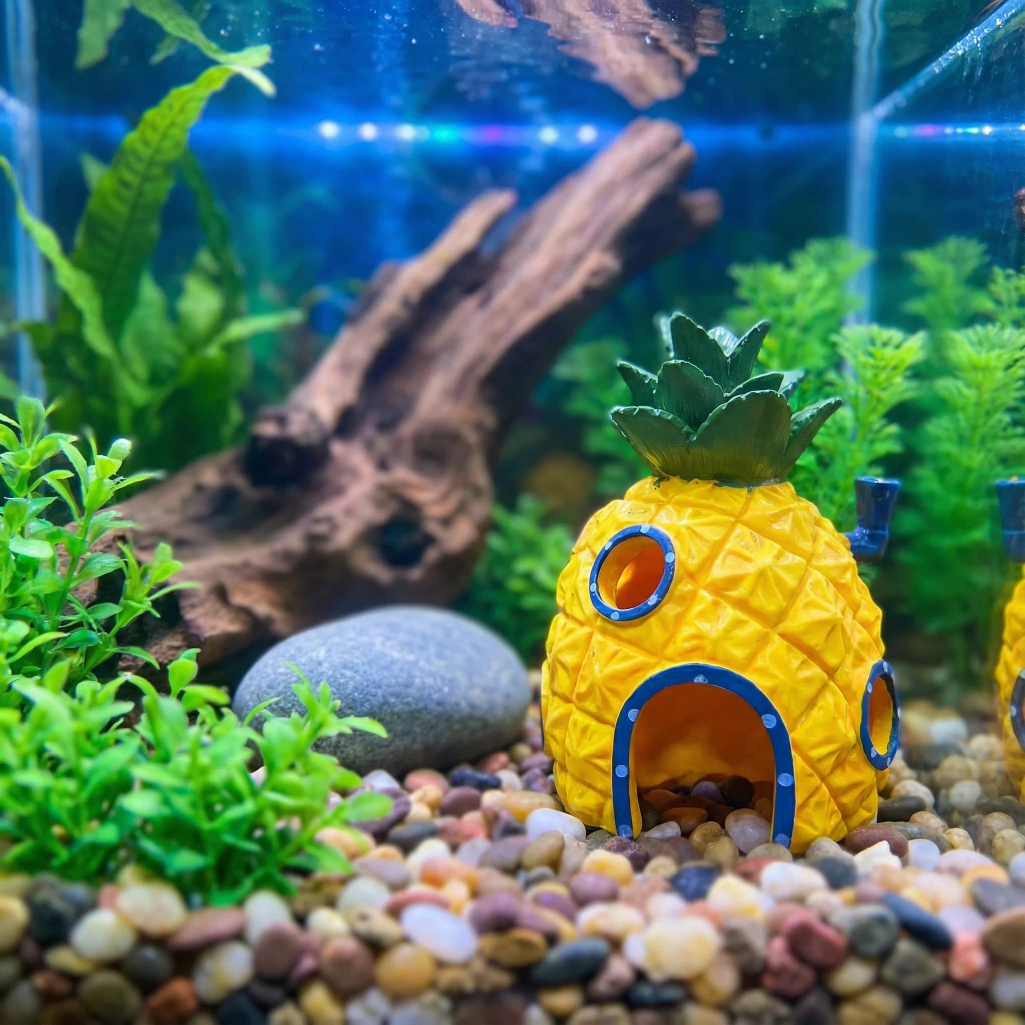 Ananas Evi Akvaryum Dekoru, Be - Aquarium Fish Hide incelemesi ve fiyatı
