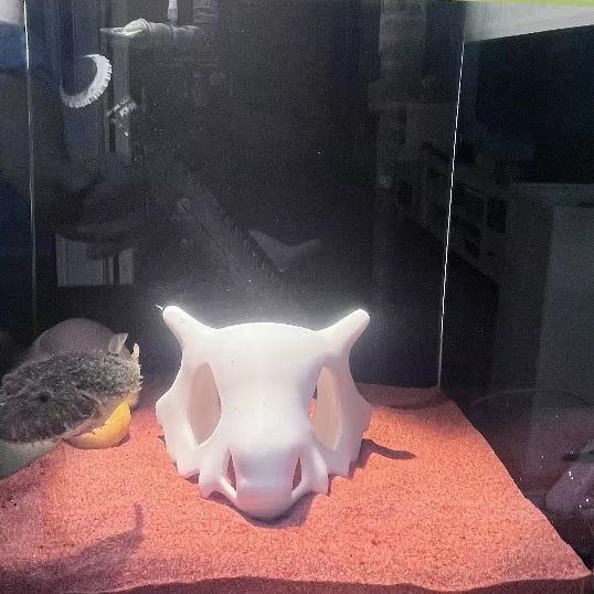 3D Baskılı Balık Karides Sürün - Aquarium Fish Hide incelemesi ve fiyatı