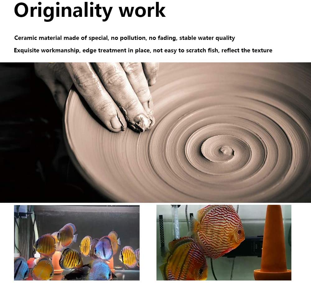 Diskus Balıkları ve Melek Balı - Aquarium Fish Hide incelemesi ve fiyatı